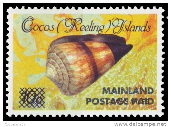 (003) Cocos Isl. / Isles Cocos / Keeling  Shell / Coquillage / Muschel   ** / Mnh  Michel 240 I+II  Surcharge - Kokosinseln (Keeling Islands)