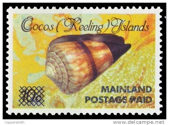 (003) Cocos Isl. / Isles Cocos / Keeling  Shell / Coquillage / Muschel   ** / Mnh  Michel 240 I+II  Surcharge - Cocoseilanden