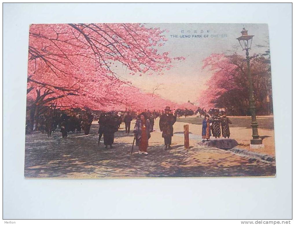 Japan -The Ueno Park Of Cheyeri    Cca 1900-10's  VF  -D49074 - Tokyo