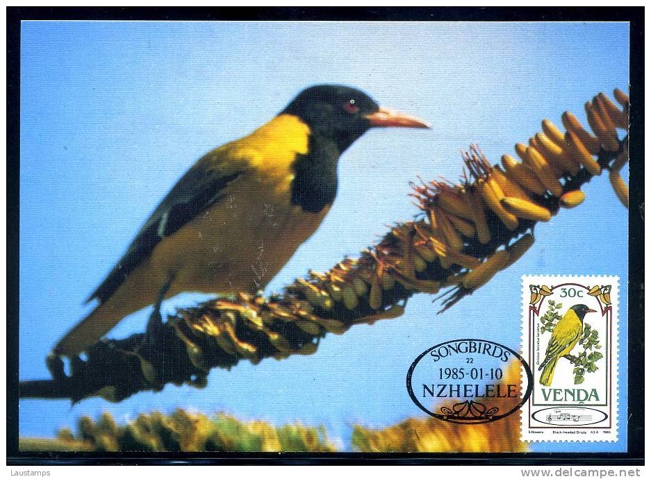 Venda 1985 African Black-headed Oriole Maxicard - Other & Unclassified