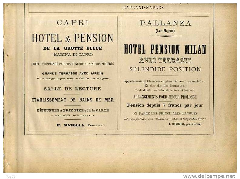 - PAGE DE PUB HOTELS ET LIGNES MARITIMES  RECTO-VERSO DU XIXe S . - Other & Unclassified