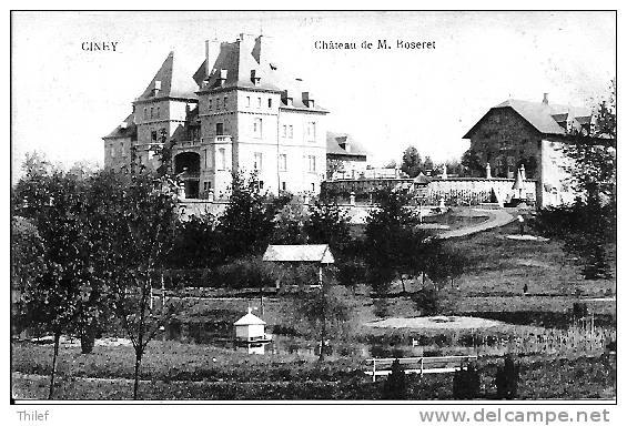 Ciney 28:Château De M.Boseret - Ciney