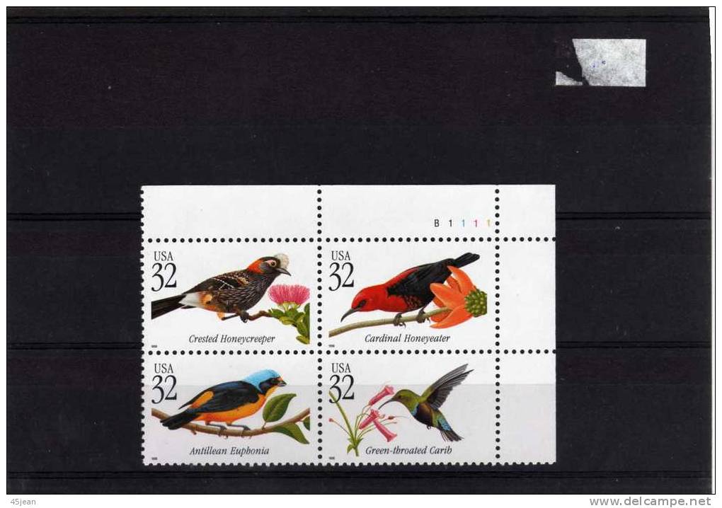U.S.A: 1998 Bloc De 4 Neuf Oiseaux Tropicaux Dont Un Colibri - Hummingbirds
