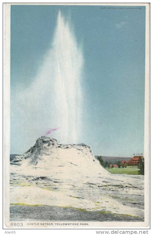 Castle Geyser,  Yellowstone Park USA, 1902 Detroit Photographic Co. Vintage Postcard #8803 - USA National Parks