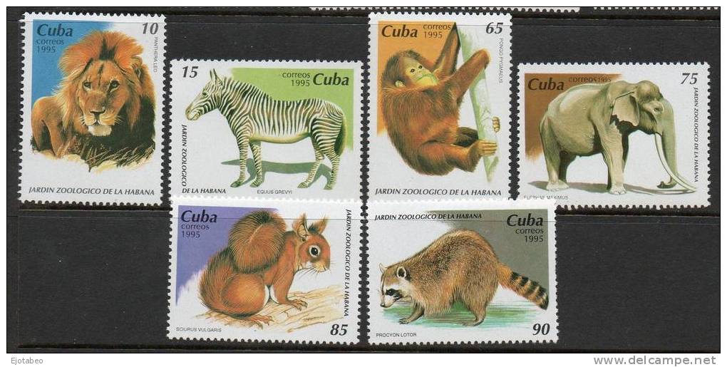 22 CUBA  1995 Mint  M 3852-57, Y 3498-03-Jardín ZOO De La Habana TT: Animales,Fauna - Unused Stamps