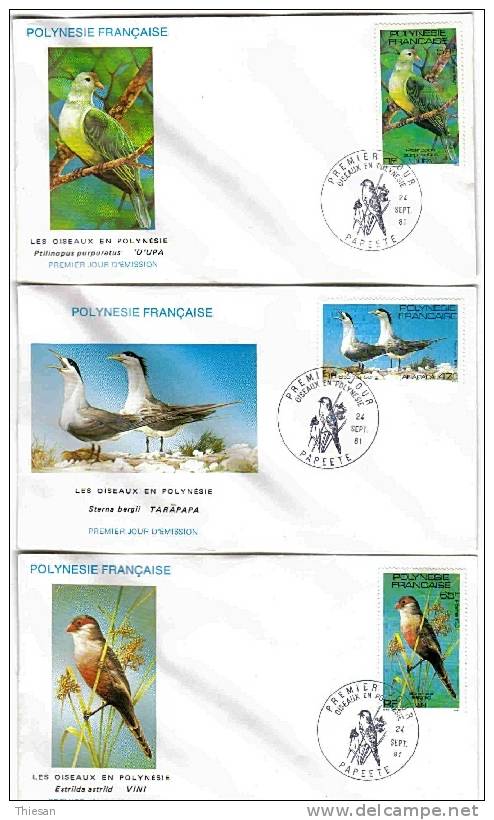 Polynésie Lettre ( X 3 ) Enveloppe 1er Jour Cover FDC 1981. Oiseau. Bird. Aves. Voguel - Perroquets & Tropicaux