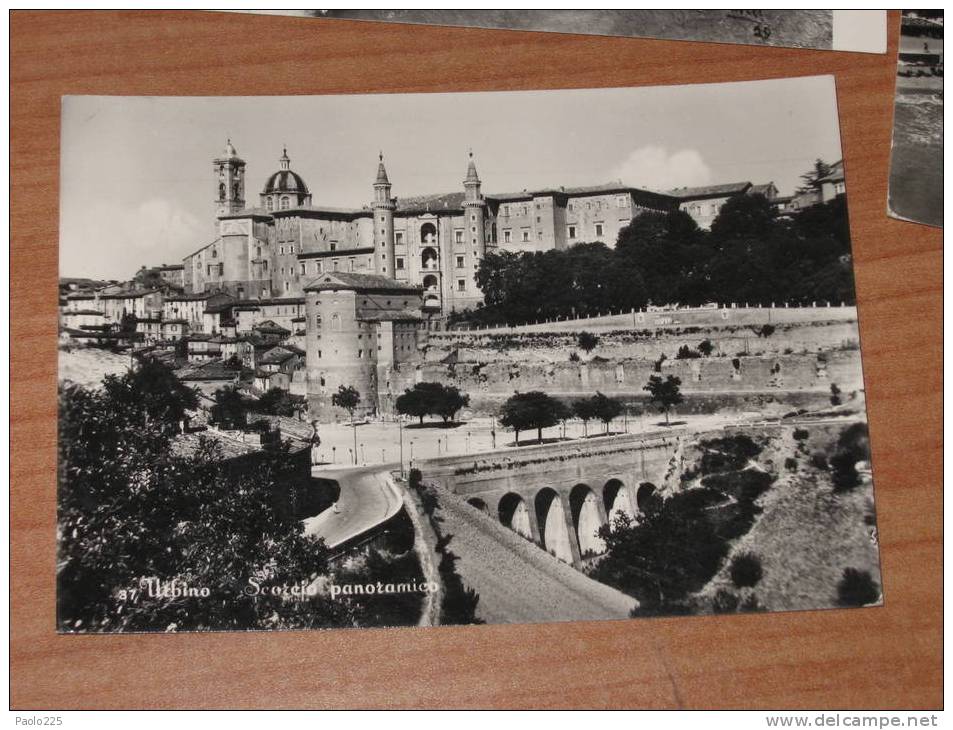 URBINO -1964 Scorcio Panoramico BN VG - Urbino