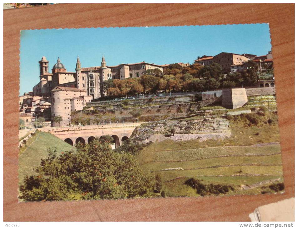 URBINO - Panorama Colori VG 1959 - Urbino