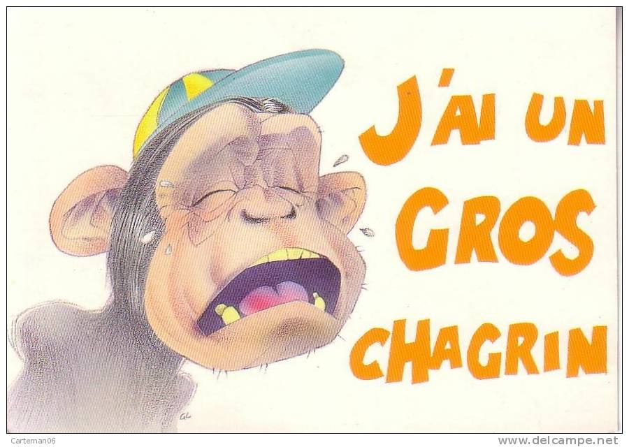 Animaux - Singe - J'ai Un Gros Chagrin - Monkeys