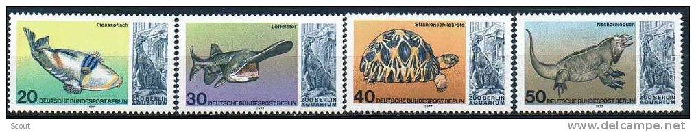 GERMANIA - GERMANY - ALLEMAGNE - BERLINO - 1977 - ACQUARIUM DELLO ZOO DI BERLINO - TARTARUGA - YT 514/517 ** - Tortugas