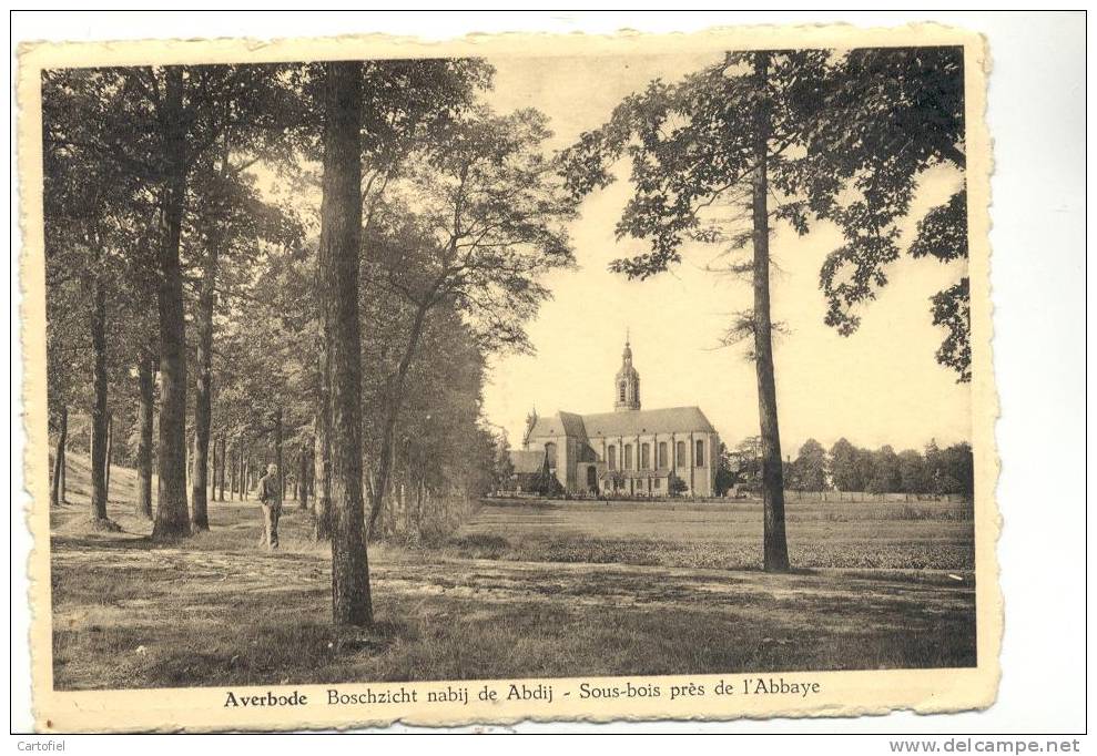 AVERBODE-BOSCHZICHT NABIJ DE ABDIJ - Scherpenheuvel-Zichem