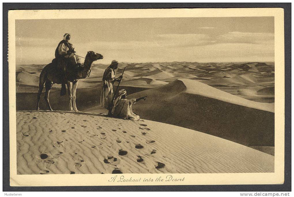 Egypt A Lookout Into The Desert Alexandria Cancel 1939 King Faruk Stamps - Alexandria