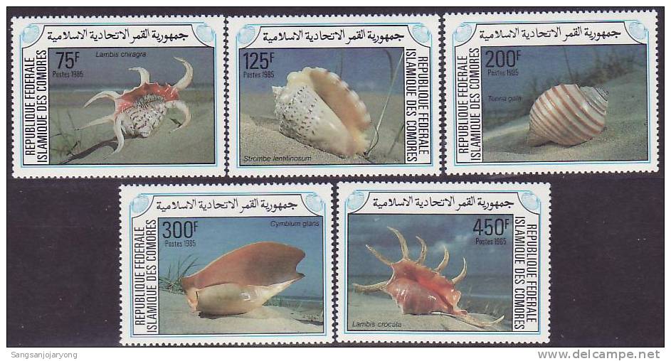 Comoro Is ( COMORES ). Sc609-13 Sea Shells - Conchas