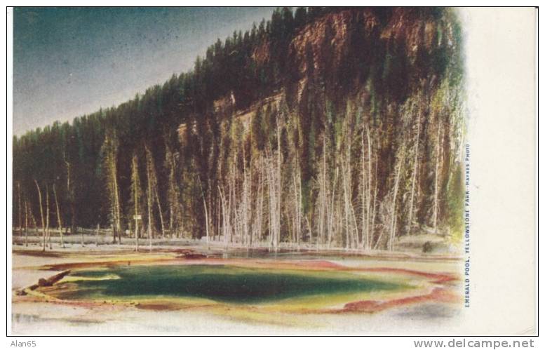 Emerald Pool Yellowstone Park, Haynes-Photo Publisher Undivided Back Antique Postcard - USA Nationalparks