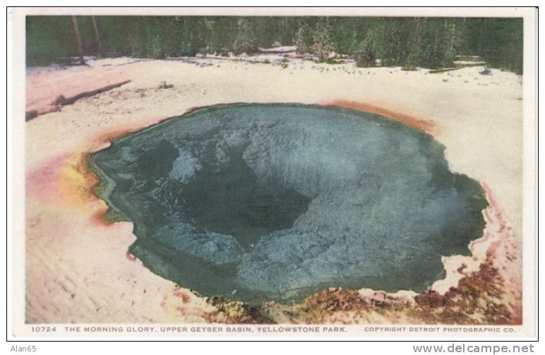 The Morning Glory Upper Geyser Basin, Yellowstone Park, Detroit Photographic Co. #10724 1910s Vintage Postcard - USA Nationalparks