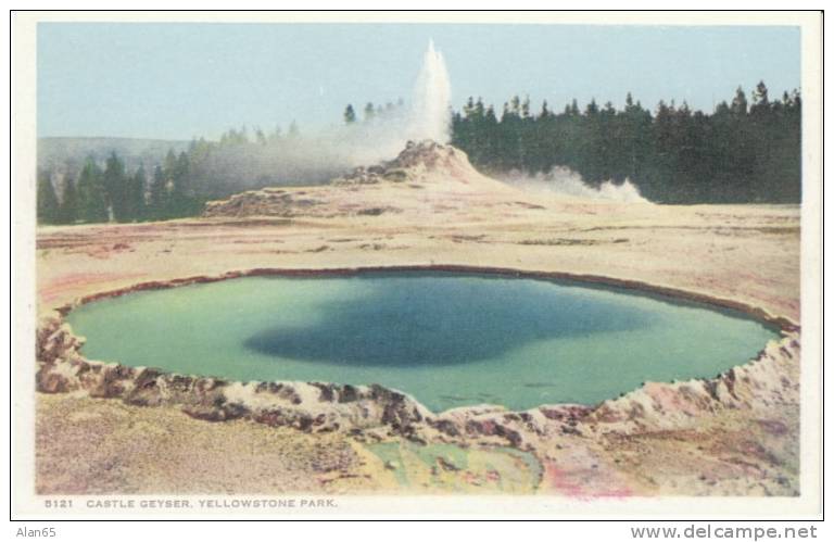 Castle Geyser, Yellowstone Park, Detroit Photographic Co. #5121 1910s Vintage Postcard - USA National Parks