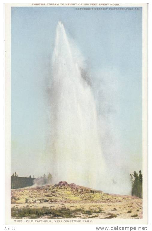 Old Faithful Geyser, Yellowstone Park, Detroit Photographic Co. #7155 1910s Vintage Postcard - USA National Parks