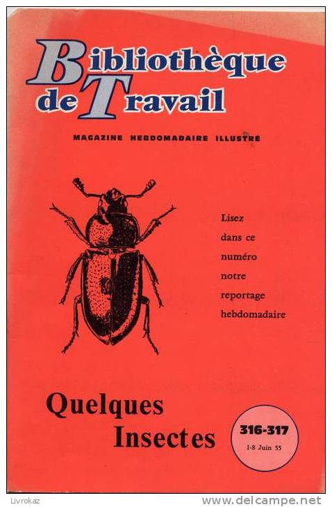 BT N°316/317 (1955) : Quelques Insectes. Bibliothèque De Travail. Freinet. - 6-12 Ans