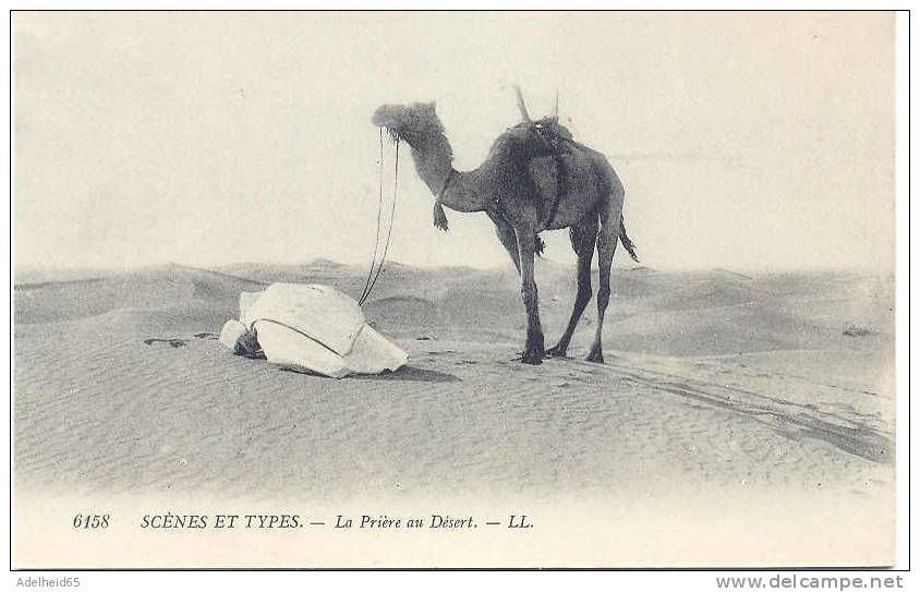 Islam, La Prière Au Désert Ed. LL Comme Neuf Ca 1910 - Islam