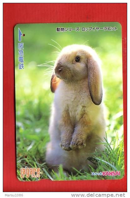 Japan Japon  Prepaidkarte -  Peter Rabbit  Hase  Lapin - Kaninchen