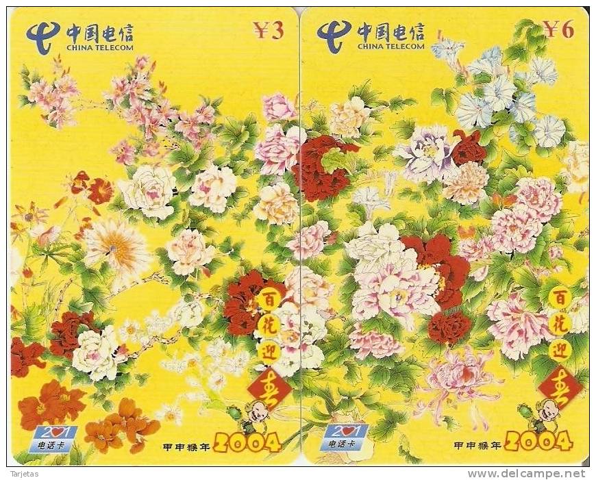 PUZZLE DE 2 TARJETAS DE CHINA DE FLORES (FLOWER) - Puzzles