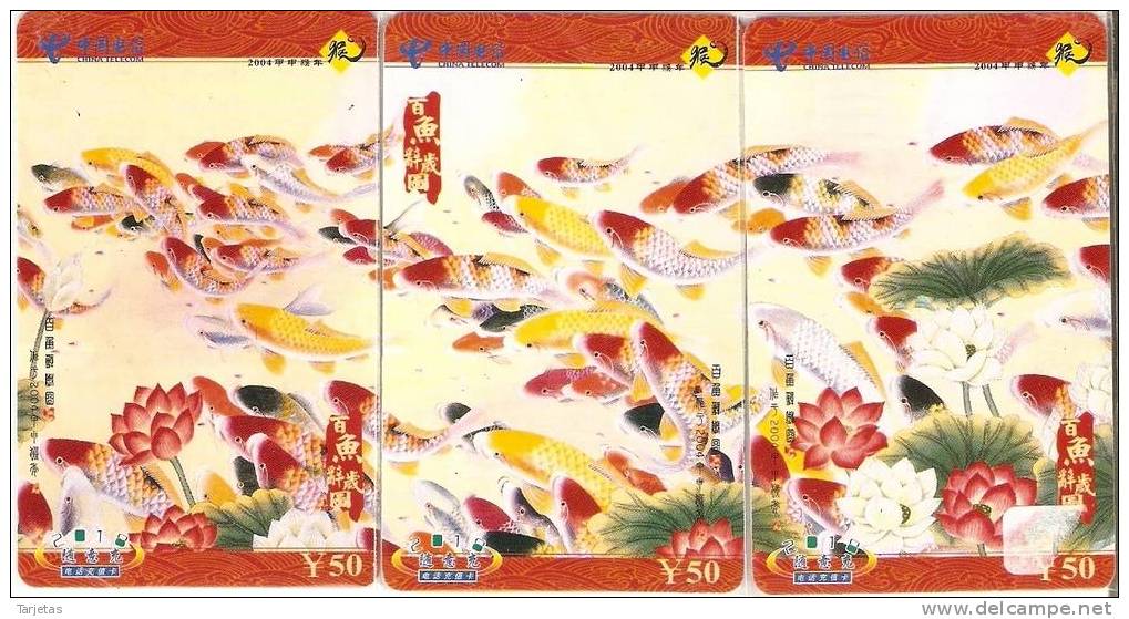 PUZZLE DE 3 TARJETAS DE CHINA DE PECES (FISH-PEZ) - Puzzles