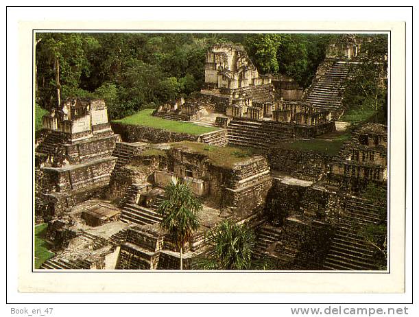 {31973} Guatemala Tikal , Des Ruines Révèlent L´étendue De L´ancienne Métropole Maya De Tikal - Guatemala