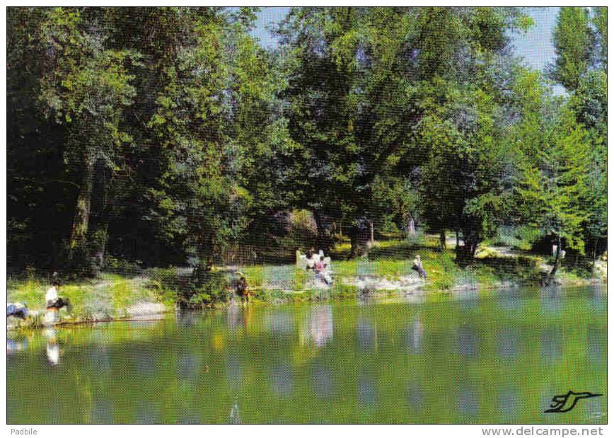 Carte Postale 62. Desvres   Jour De Pêche Au Plan D'eau  Trés Beau Plan - Desvres