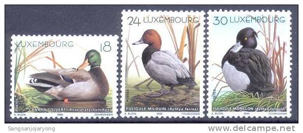 Luxembourg Sc1031-3 Bird. Ducks, Canard - Canards