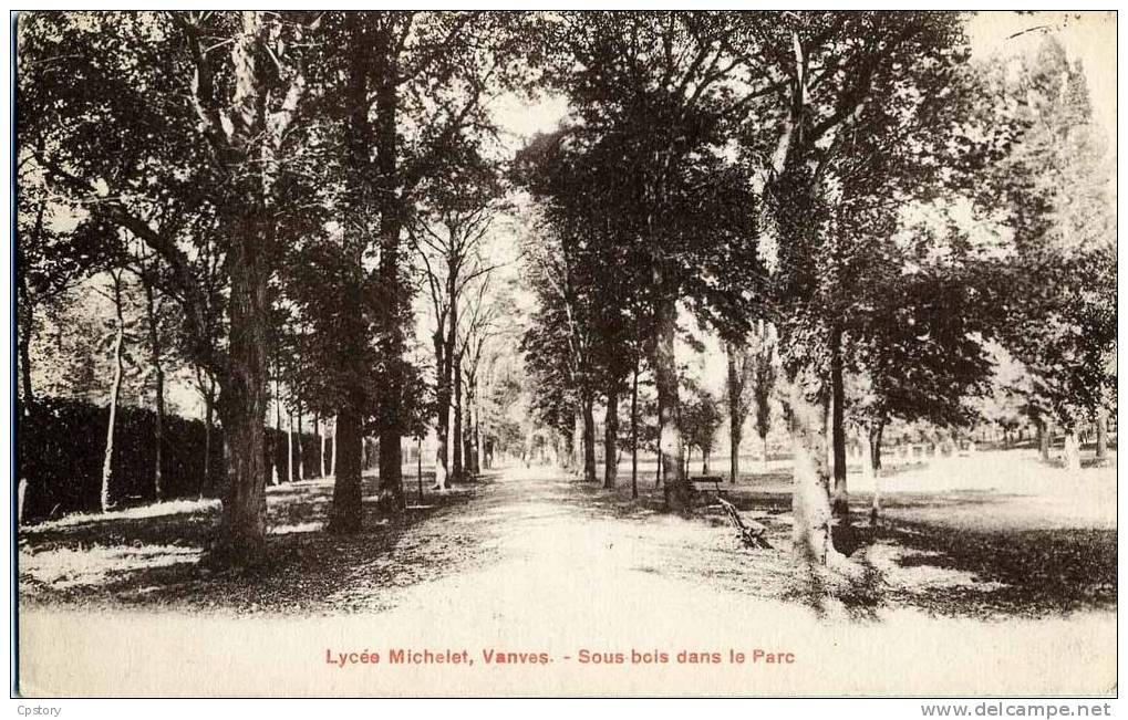 92 - VANVES - Lycée Michelet - Sous Bois Dans Le Parc - Vanves