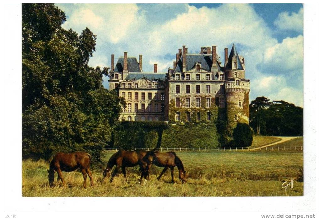 Chateau De BRISSAC (maine Et Loire) - Schlösser