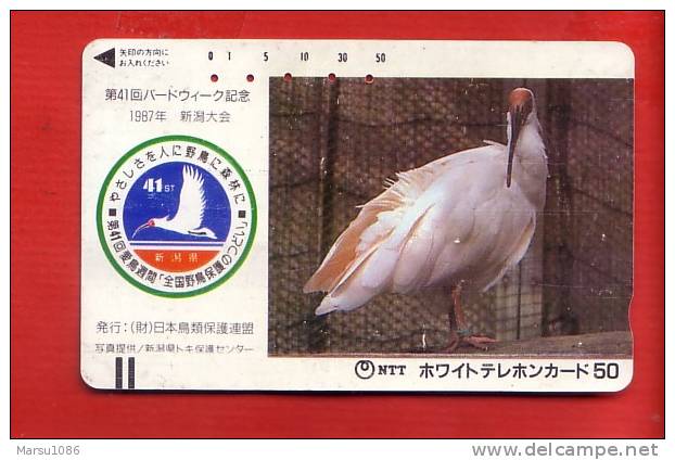 Japan Japon  Telefonkarte   - Nr. 110 -  011   Bird Vogel Oiseau   Balken  Front Bar  Schalterkarte - Pájaros Cantores (Passeri)