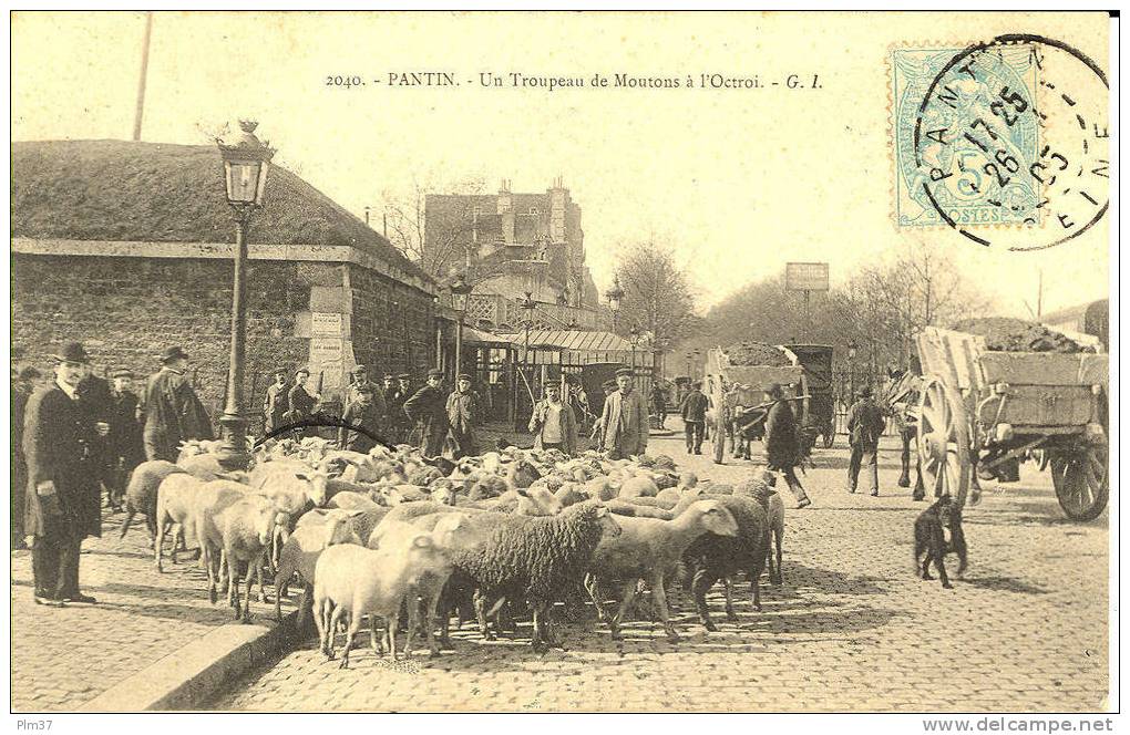 PANTIN - Un Troupeau De Moutons à L'Octroi - Voy. 1905, Parfait état - Pantin