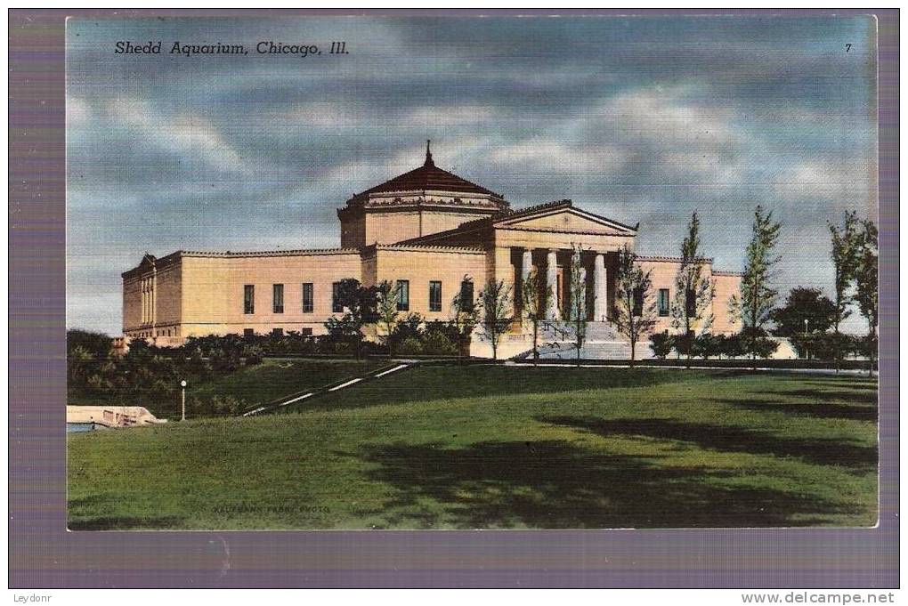 Shedd Aquarium, Chicago, Illinois - Chicago