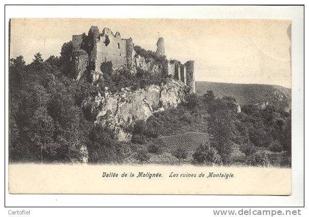 MOLIGNEE- VALLEE DE LA MOLINGNEE- LES RUINES DE MONTAIGLE - Onhaye