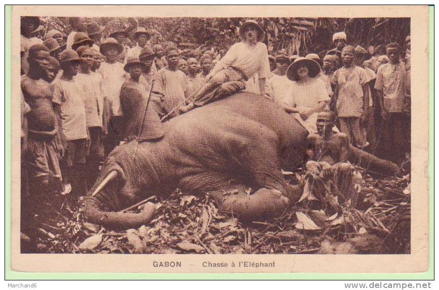 AFRIQUE.GABON.CHASSE   A L ELEPHANT Carte Abimé Et Pliés état - Gabón