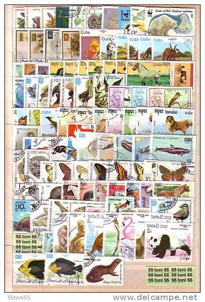 FAUNA 100 Timbres Commémoratifs Tous Différents  Oblitérés (O) - Collections (without Album)