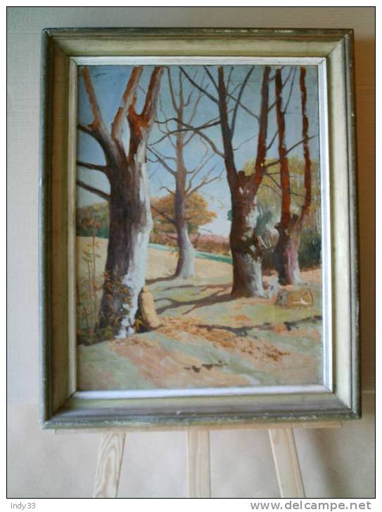 - SOUS-BOIS D´AUTOMNE . HUILE SUR TOILE NON SIGNEE . ENCADREE - Oils