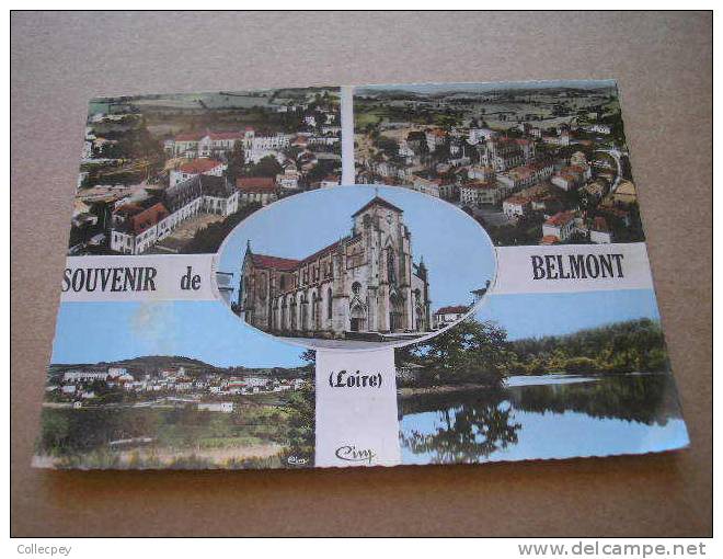 CPSM Souvenir De BELMONT Multi Vues - Belmont De La Loire