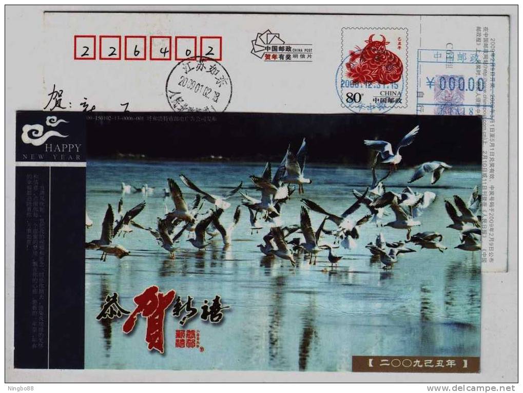 Habitat Of Migratory Birds,China 2009 Huhehaote City New Year Greeting Advertising Pre-stamped Card - Cigognes & échassiers
