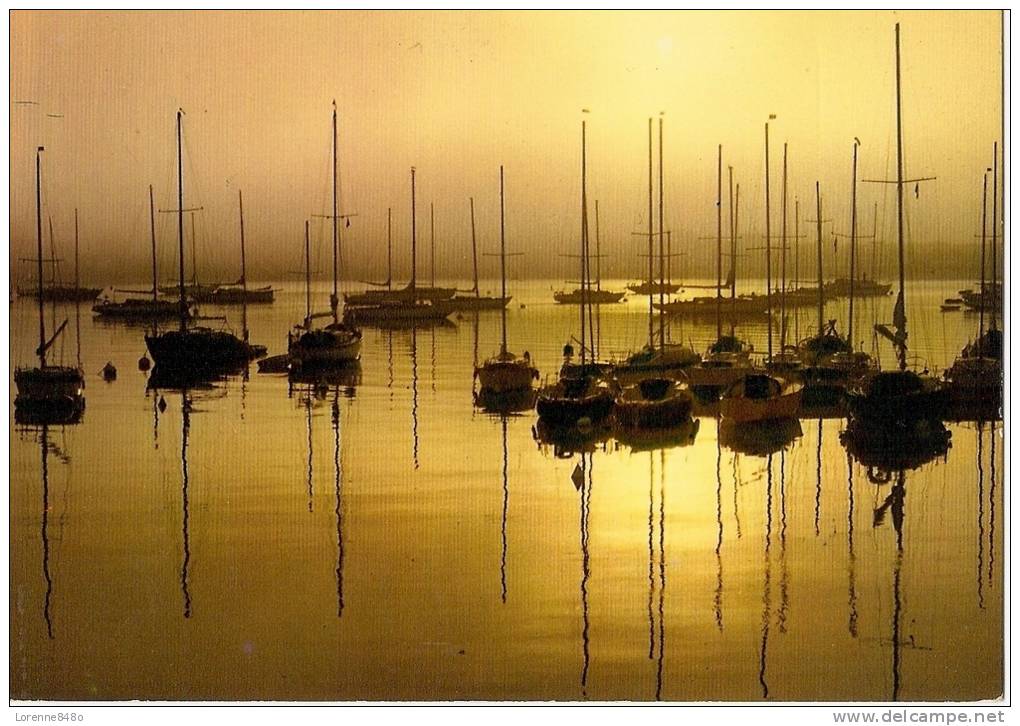 BRUME MATINALE.....Coucher De Soleil Sur La Mer++ - Tegenlichtkaarten, Hold To Light