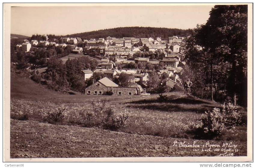 43 - Le Chambon Sur Lignon - Vue Prise Des Abattoires - Le Chambon-sur-Lignon