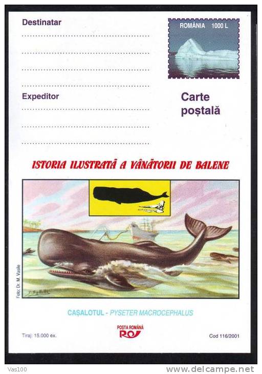 WHALE BALEINE-HUNTING 2001,CARD ROMANIA,TIRAJ LIMITE. - Baleines