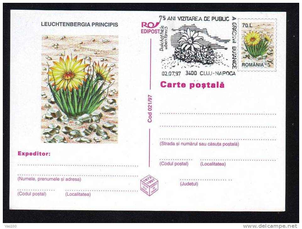ROMANIA 1997 PMK , Entier Postaux Stationery POSTCARD,with Cactusses,cactus.(A1) - Sukkulenten