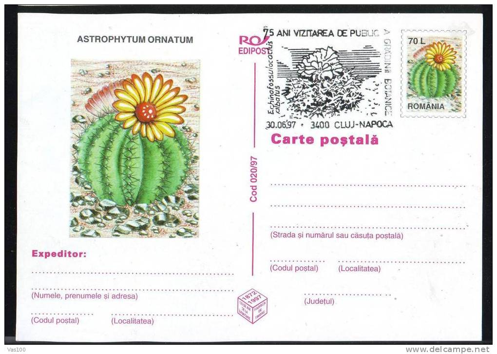 ROMANIA 1997 PMK , Entier Postaux Stationery POSTCARD,with Cactusses,cactus.(A3) - Cactusses