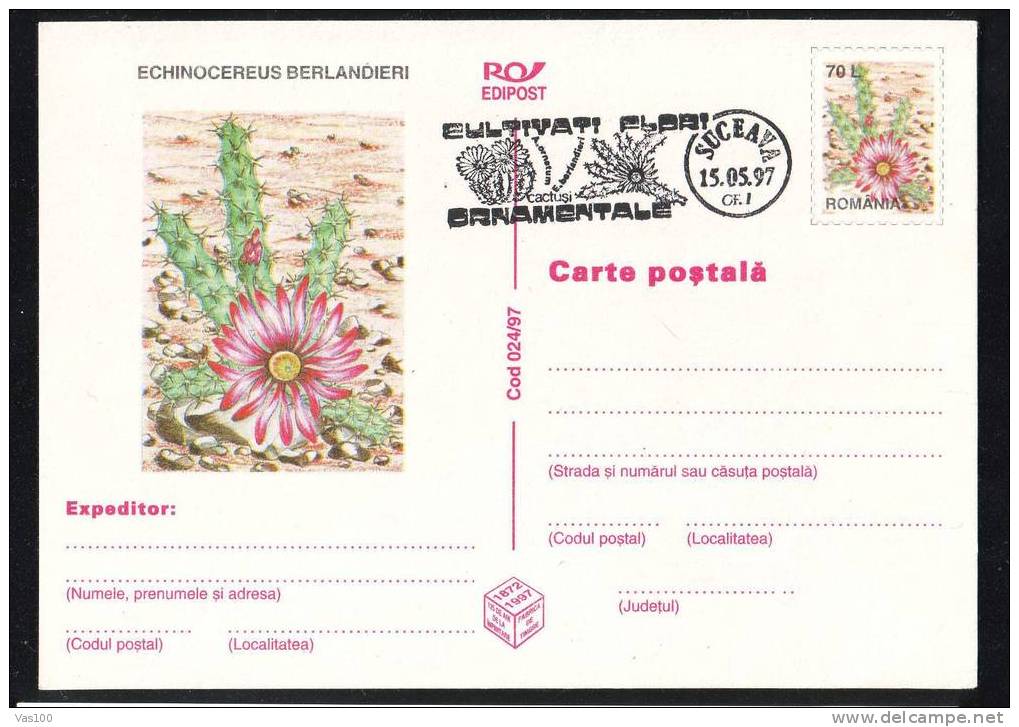 ROMANIA 1997 PMK , Entier Postaux Stationery POSTCARD,with Cactusses,cactus.(A6) - Cactusses