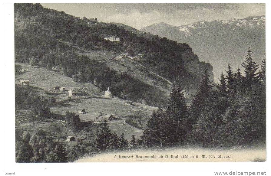 BRAUNWALD - Wald