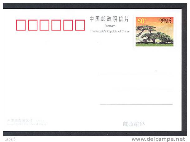CHINE PYP2001/19 Arbres Remarquables - Cartes Postales