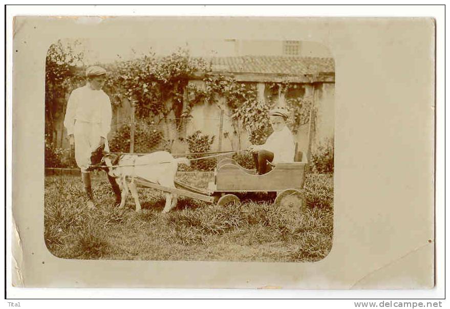 C9570 - SAO PAULO - Carte Photo 2 Enfants Jouant Avec Une Charette à Chèvre - São Paulo