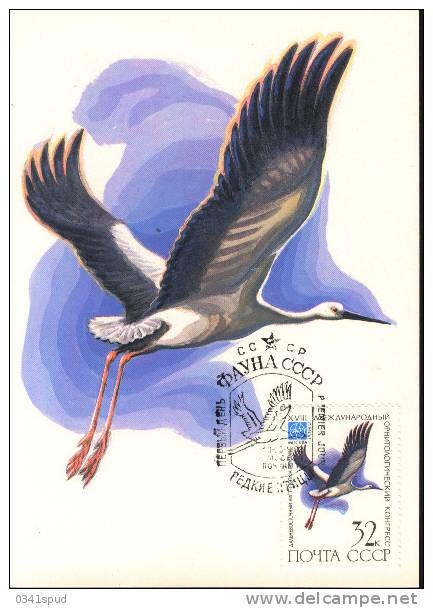 1982  Russie  Carte Maximum  Oiseaux   Cigogne - Cigognes & échassiers